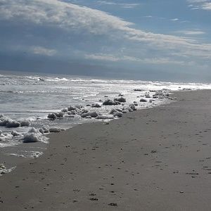 Meet your Posher, Gail